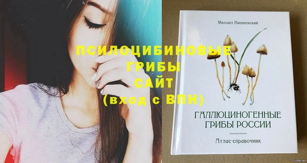 гашик Алзамай