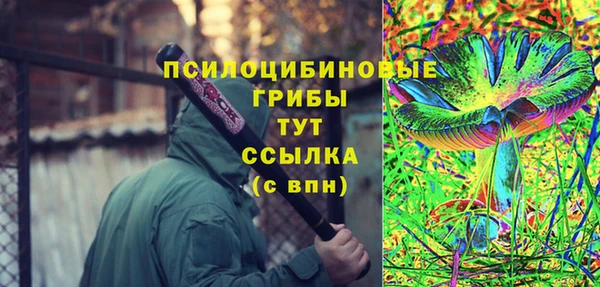 кокс Елизово