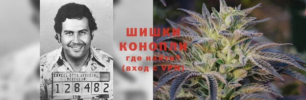 гашик Алзамай