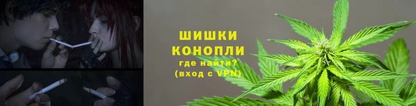 гашик Алзамай