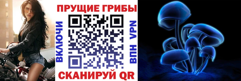 Псилоцибиновые грибы мухоморы  Инсар 