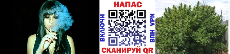 Каннабис Bruce Banner  Инсар 